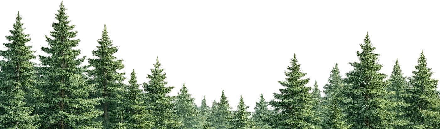 Tree tops